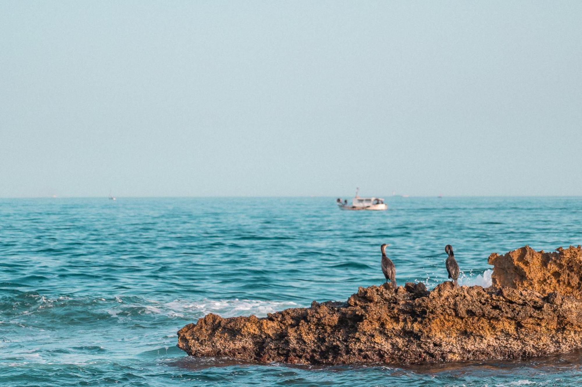 Superbe T3 Bord De Mer Sausset-les-Pins Exterior foto